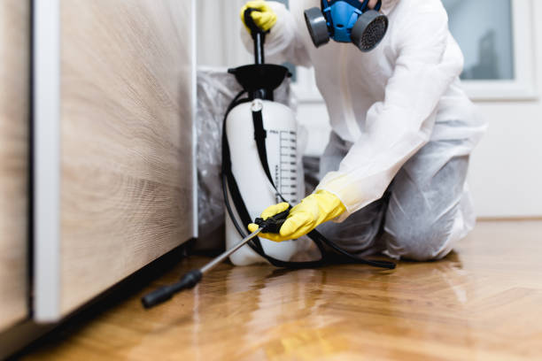 Best Pest Inspection Near Me  in Lynn, MA