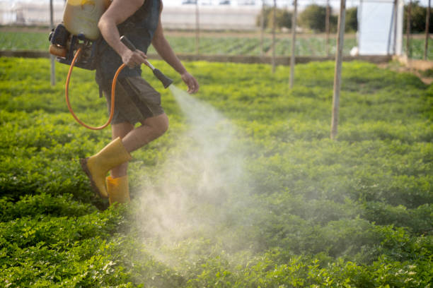 Best Best Pest Control Companies  in Lynn, MA