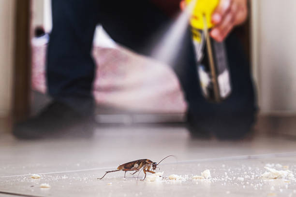Best Best Pest Control Companies  in Lynn, MA
